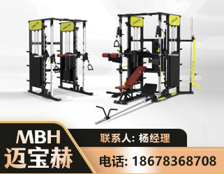 双鸭山多功能综合训练器