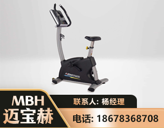 双鸭山立式健身车